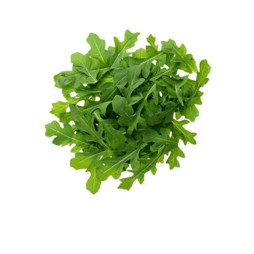 Arugula