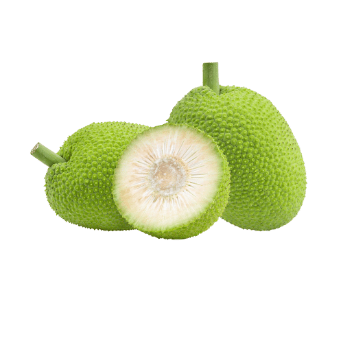 Breadfruit