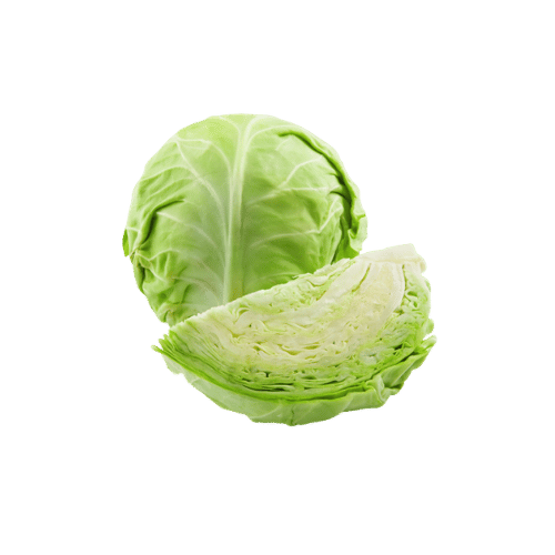 Cabbage