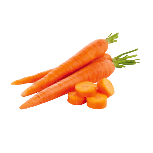 Carrot