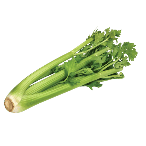 Celery