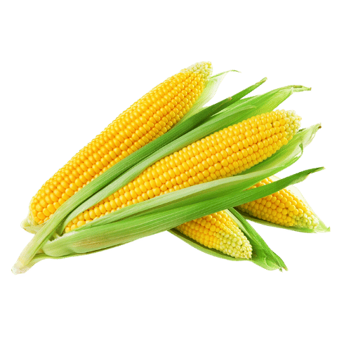 Corn