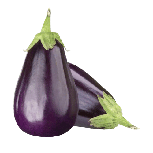 Eggplant