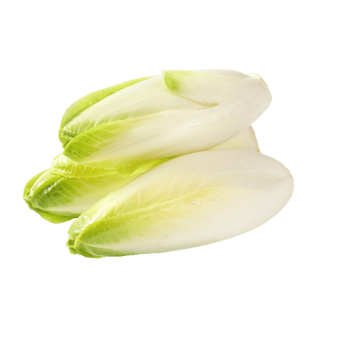 Endive