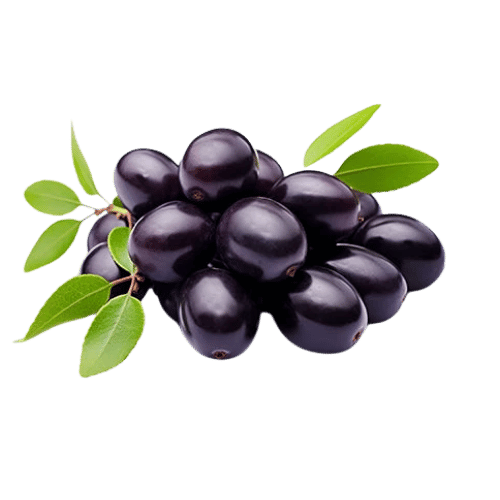 Jamun