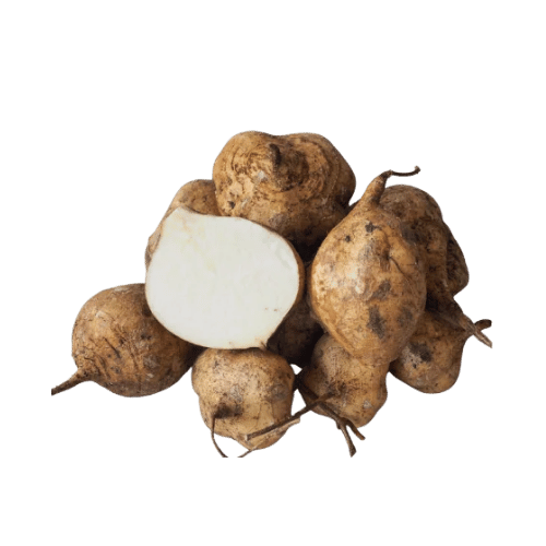 Jicama