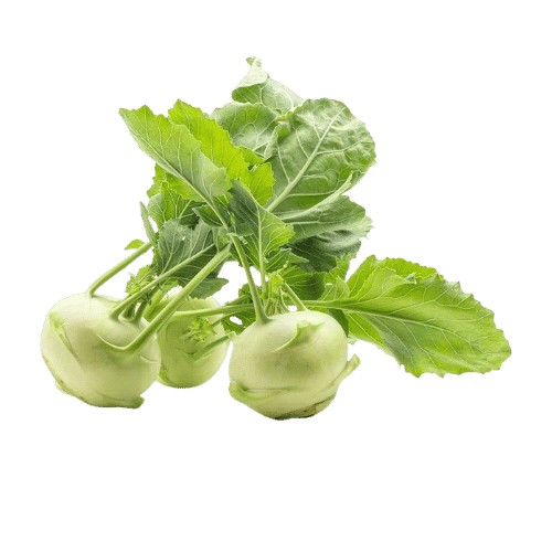 Kohlrabi