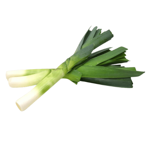 Leek