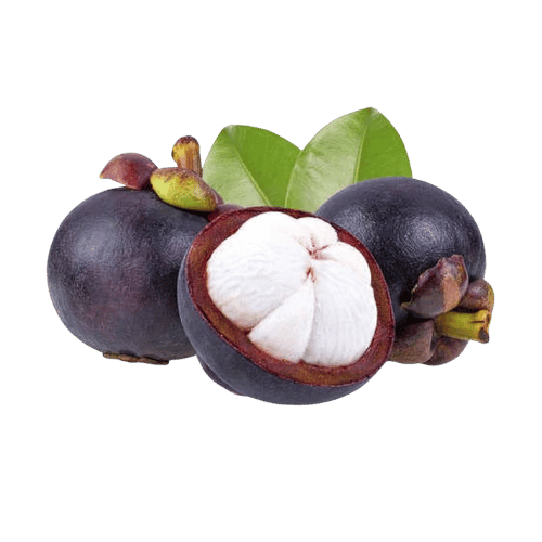 Mangosteen