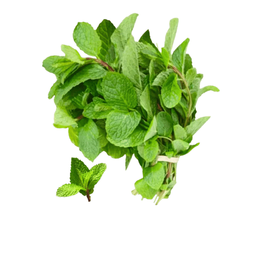 Mint