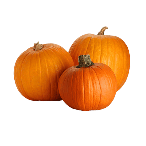 Pumpkin