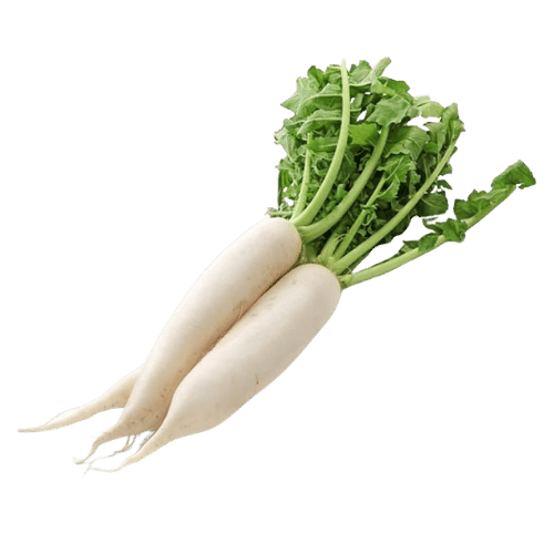 Radish