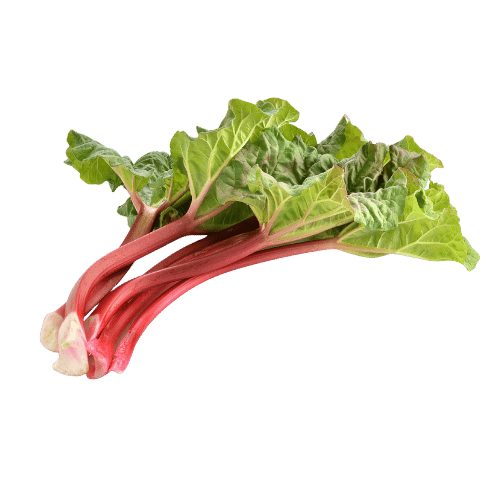 Rhubarb