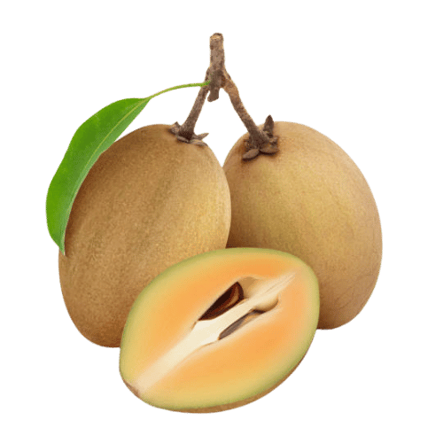 Sapodilla