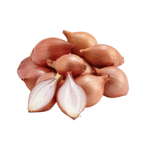 Shallot