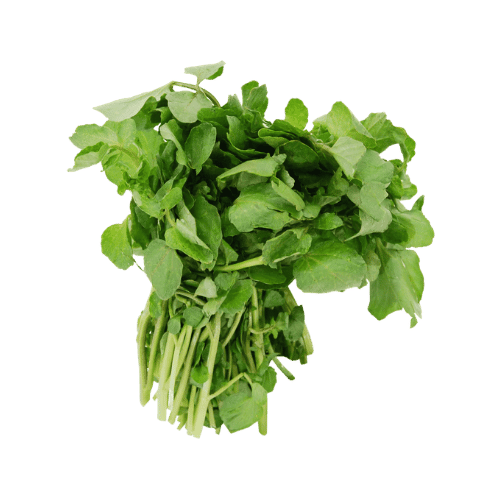 Watercress